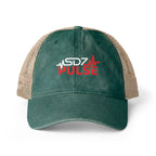 Washed Mesh Back Cap — SDZ Pulse Heartbeat